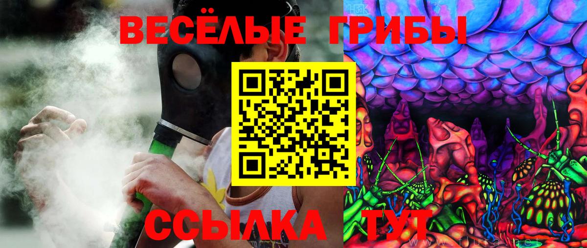 Псилоцибиновые грибы ЛСД  Галлюциногенные грибы ЛСД  Вход с VPN  Верхняя Пышма 